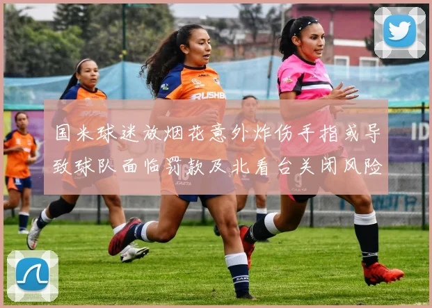 国米球迷放烟花意外炸伤手指或导致球队面临罚款及北看台关闭风险
