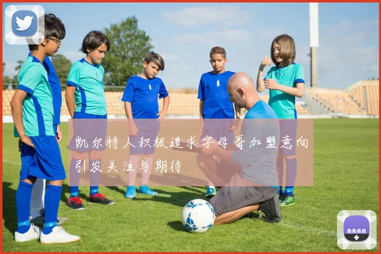 凯尔特人积极追求字母哥加盟意向引发关注与期待